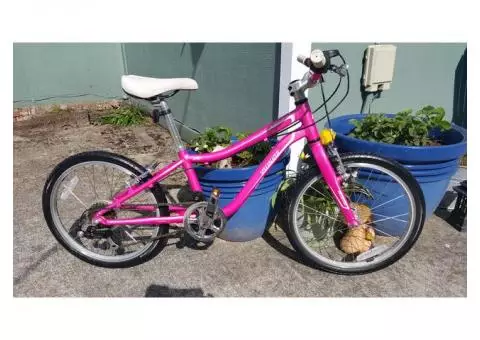 Girls Specialized Bicycle